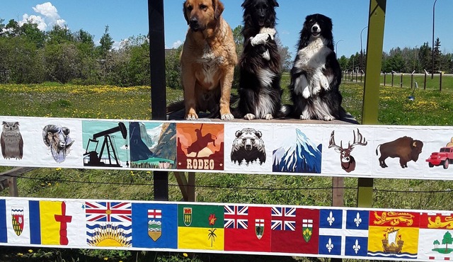 Make A Memory