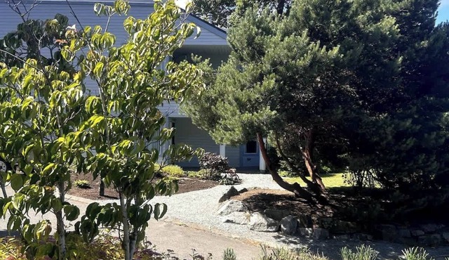 Mermaid Cove - Studio - Pacific Shores