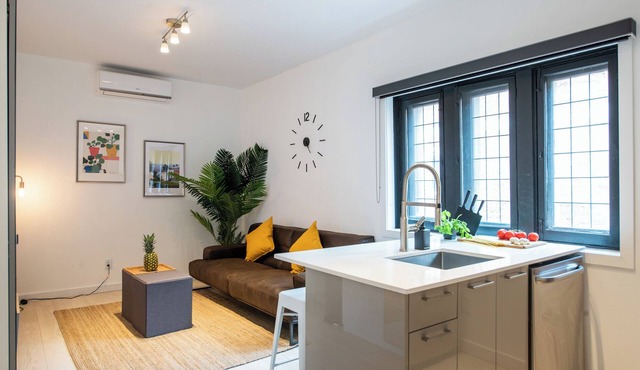 Modern Loft in Castle Lofts