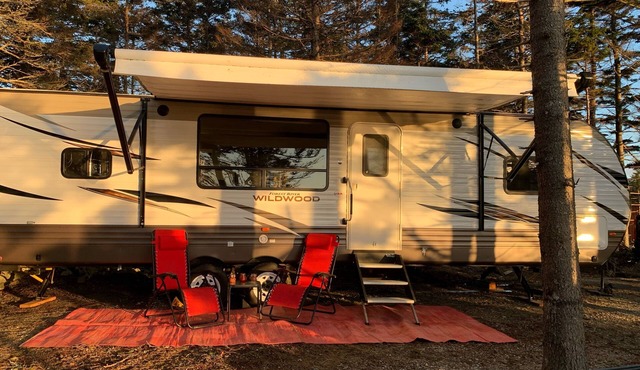 Modern RV camper with all the perks Nestled in tree at lake edge