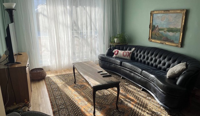 Montreal, Ahuntsic, spacious, warm, well-equipped family home.