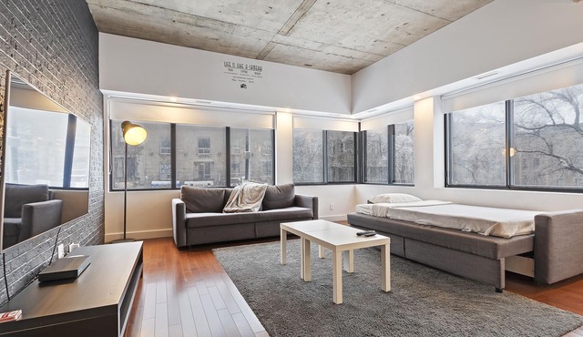 Montreal condo - Near Mount Royal and Old Port - Open living space Free Parking