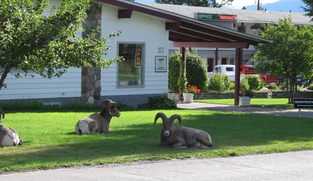 Mountain Springs Motel