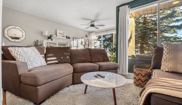 Nature Symphony: 2BR, Pool, Hot Tub, Gym, Parking
