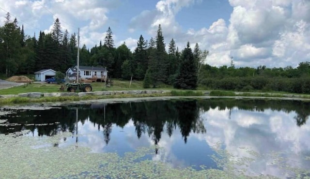 New Cozy and Private Cottage - Trent Lakes.