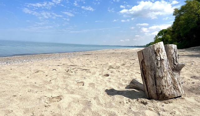 Newly-Renovated, 3-Bedroom Cottage + Bunkie, Steps to Private Beach, Grand Bend!