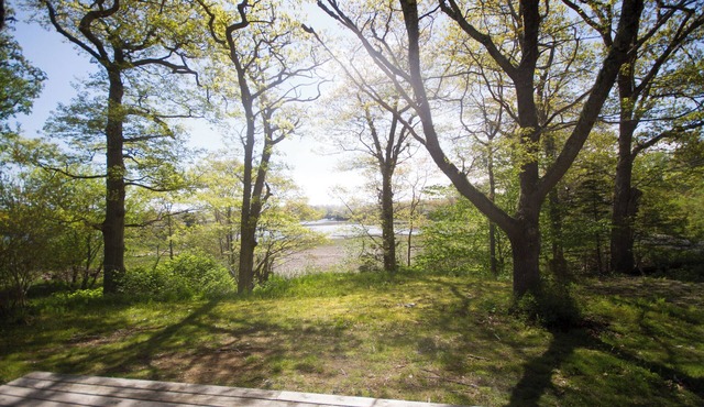 Ocean cottage nestled amongst tall oak trees, pet friendly.