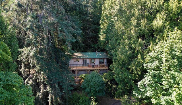 Ocean Vista in the woods on Salt Spring Island, BC