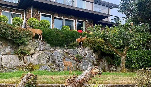 Oceanview Guesthouse