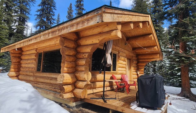 Off-Grid Escape, Log Cabin, Secluded Deep in the Wild near Rock Lake!
