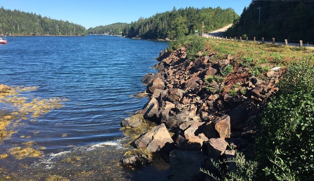 On the Beautiful South Shore Near Chester and Hubbards, Ns