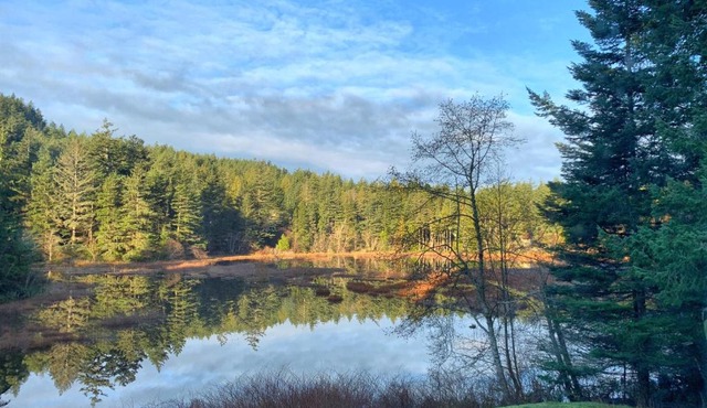 Otter's Pond Bed and Breakfast in Eastsound