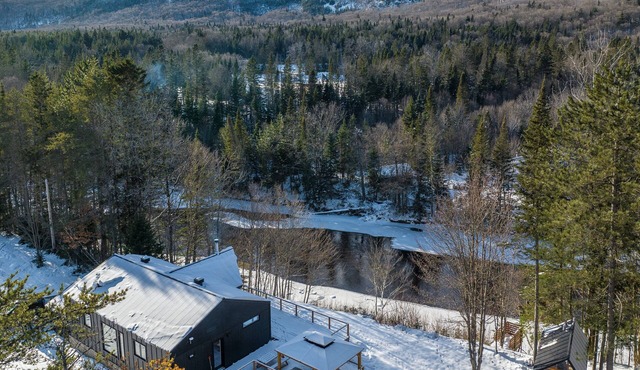 P'tit Plateau|Valley Bras du Nord|Vu|Sauna|River|Fire Place|EV Charger|Bike|SUP