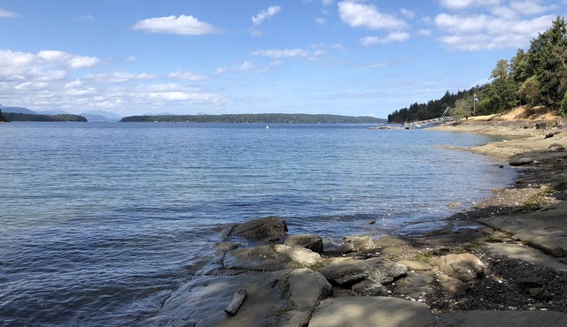 Peaceful, Relaxing, Luxury Ocean view home, 5 private acres, salt water hot tub.