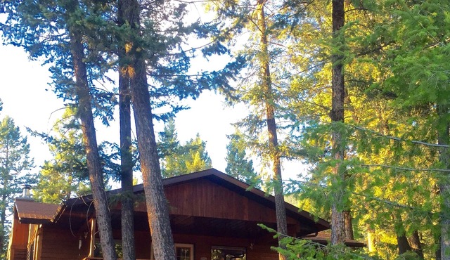 Perfect Cabin for families, couples & dogs, minutes from a soak in Hot Springs