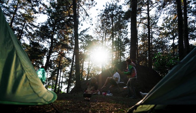 Persimmon Grove Retreat and Camp in Walnut Shade