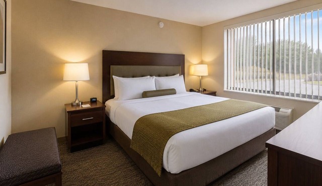 Phenomenal 1-bedroom hotel suites with AC in Toronto