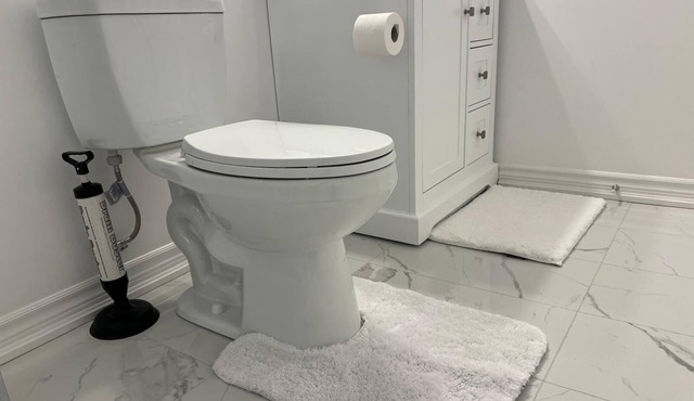 Private 2 Bedroom Basement Suite