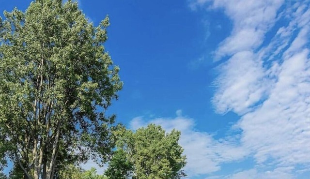 Private 30 Acre Compound With Sandy Beach In Heart of Prince Edward County