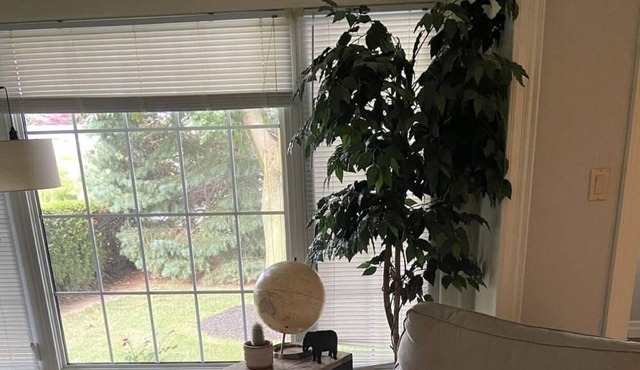 Private apartment close to restaurants!