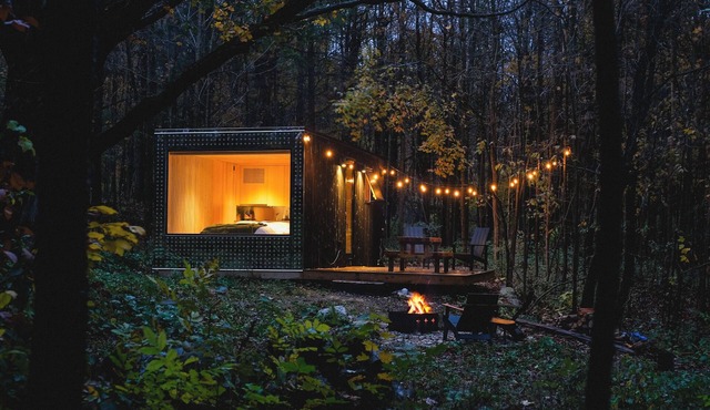 Private Forest Cabin Retreat with Sauna, Plunge & Hiking Trails
