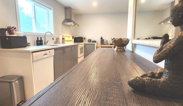 Private & Modern Studio near Ferry, Airport & VIU