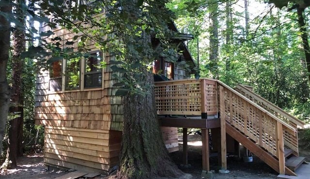 Private tiny forest cabin near Portland and local wineries. in Beaverton
