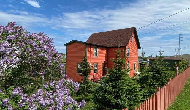 Pumpkin House ~ the curiously curated guesthouse