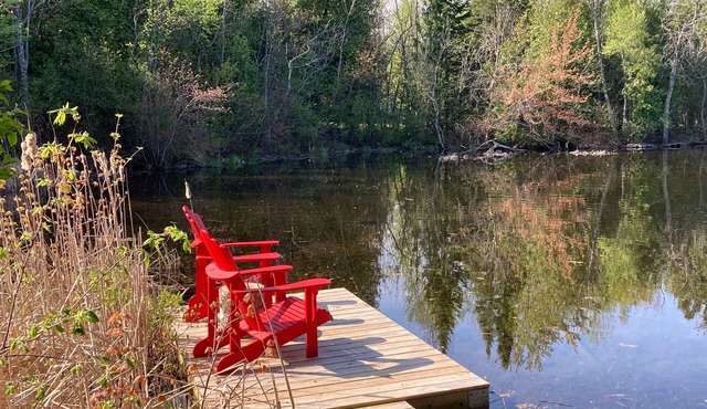 Realaxing Cat Tails Retreat at the Lake Edge Cottages!