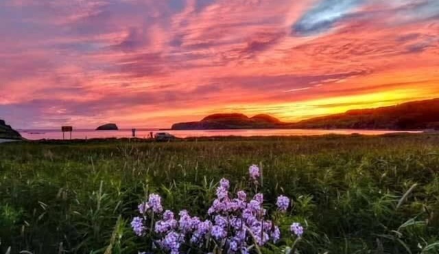 Red Sunset Cottage in Twillingate