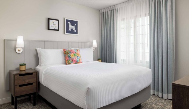 Relax in Comfort at a Modern Suite near Richmond Hill, Pets are Welcome