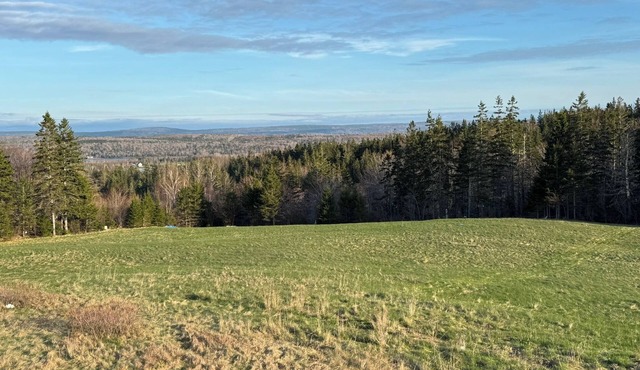 Relaxing 2BR Unit Near Hiking & Scenic Drives Sleeps 5 |Great Cabot Unit 17
