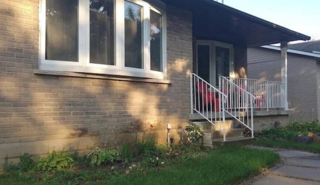 Relaxing Birdsong Bungalow