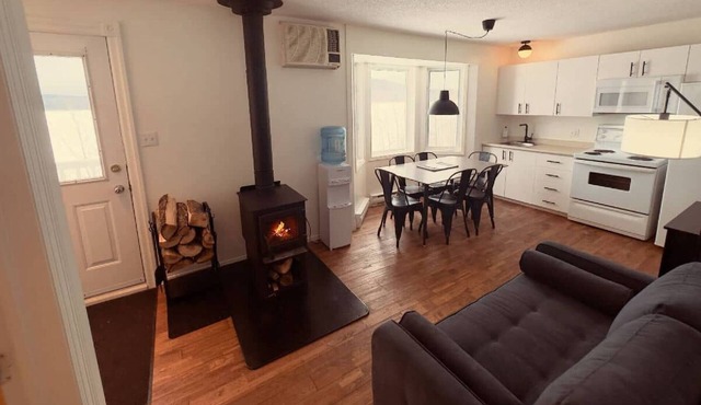 Rental of renovated cottages facing the lake with a magnificent terrace in BOUCHETTE