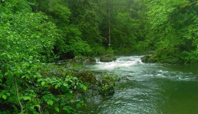 ~♡RIVERSIDE. Luxury off-grid retreat on river bend.Family friendly Ohm Sweet Om