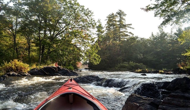 Rustic Waterfront Yurt on the Salmon River for a Peaceful Glamping Escape near Tamworth, Ontario