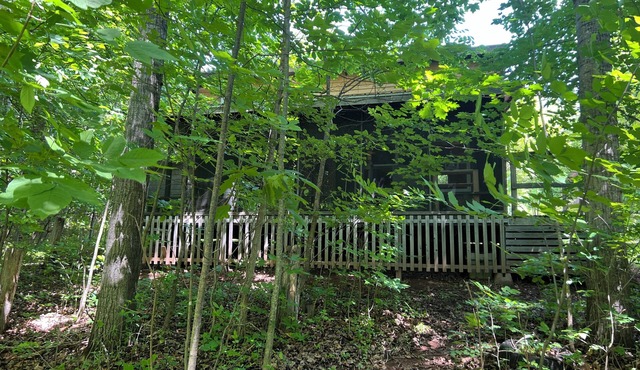 Rustic Zen Cabin on French Lake, Fredericton