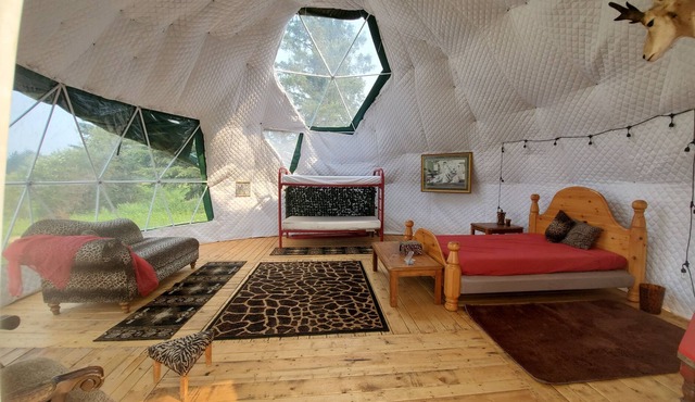 Safari Dome in the beautiful Boundary RV Park