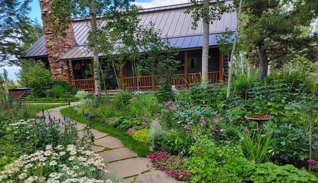 Secluded mountain-view home with large deck, hot tub & fireplace - dog-friendly in Jackson