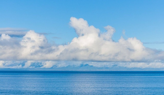 See the Sea! A beautiful, fully furnished, one bedroom, semi-oceanfront, suite!