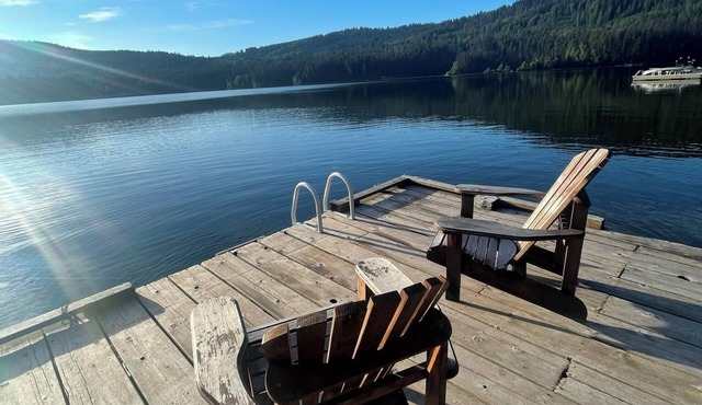 Serene cabin on Heffley Lake