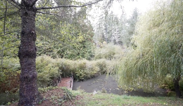 Sitka Grove - Beautiful garden suite in a park like setting!