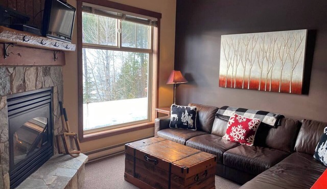 Ski In/Out. Mountain Side. Dog Friendly