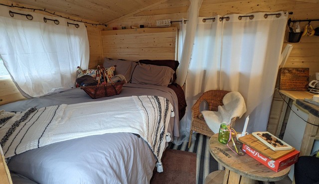 Sleep with Alpacas in Port Hope, an hour away from Toronto