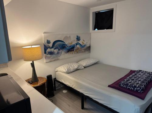 Smart & Cute 1BR Basement Apartment-Milton