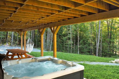 Spa and Billard - Chalet Le Silverson