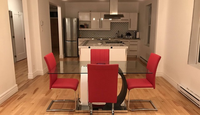 Spacious 2 br apartment in the heart of Montreal
