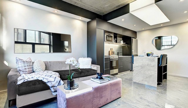 Spacious Apartment near McGill