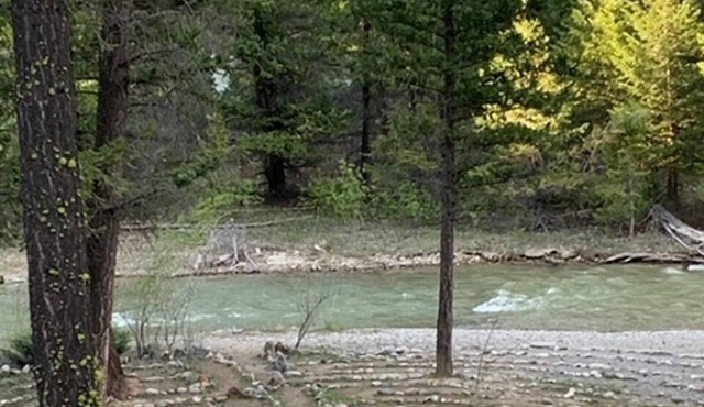Spacious family retreat in Dutch Creek, Fairmont Hot Springs with 60’ Labyrinth