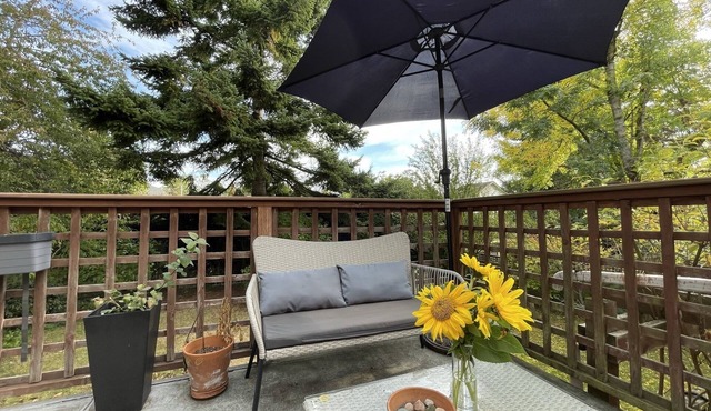 Spacious house w yard, pet-friendly; premium location in the heart of Victoria.